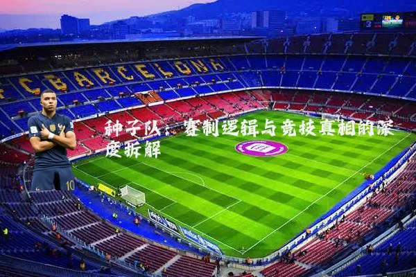 种子队：赛制逻辑与竞技真相的深度拆解